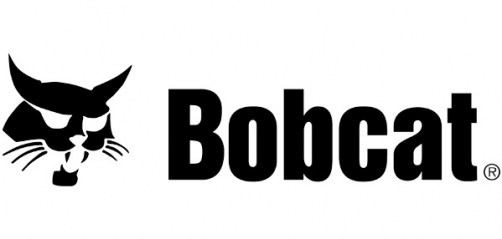 bobcat-big
