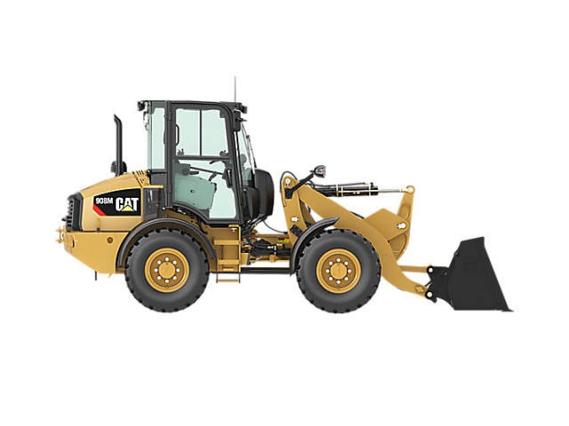 cat-908-m-1-1624352055