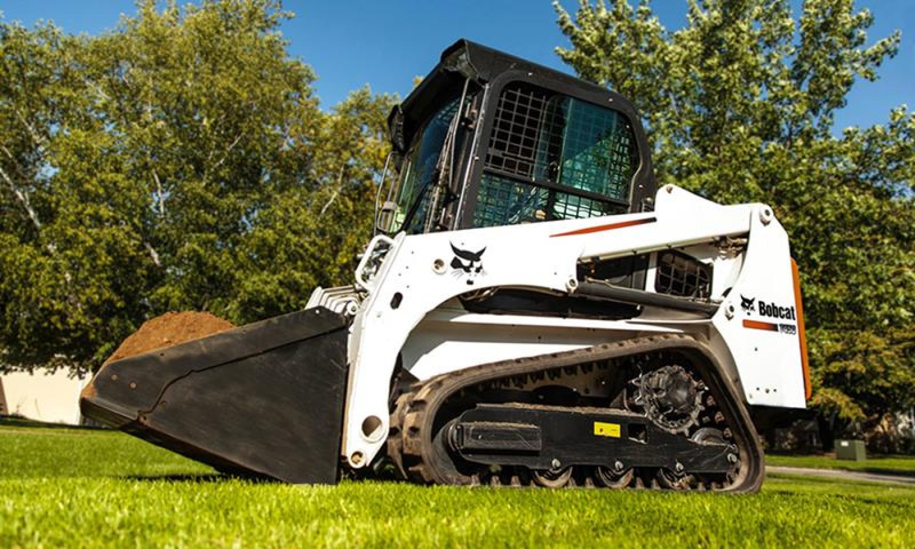 t450_bobcat-(copy)-1551428935